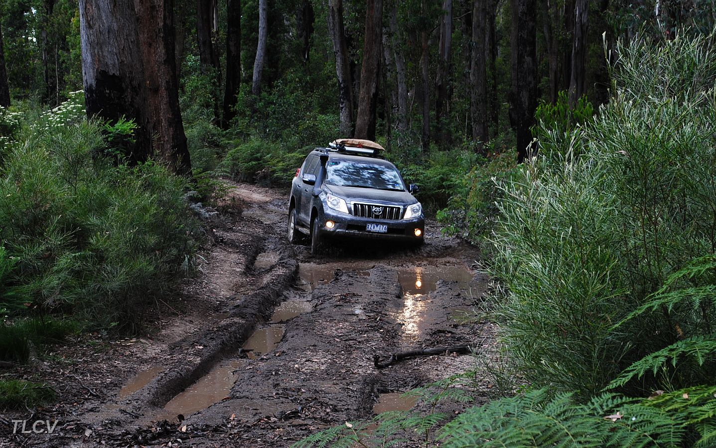 11-Raj negotiates a boggy section.JPG